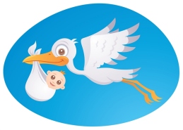 Stork Baby Delivery - Town of Parry Sound - Doug McCann