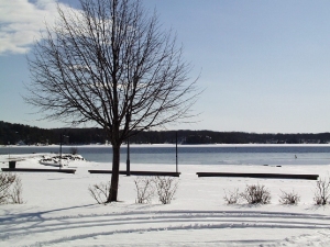 r008.jpg