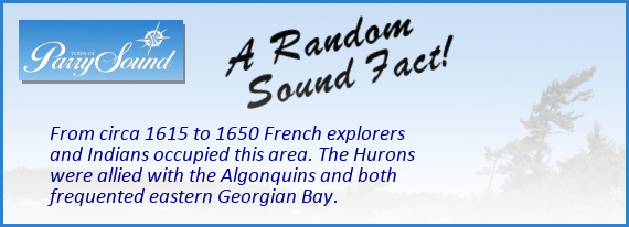 random_sound_fact_20.png