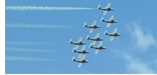 Canadian Forces Snowbirds Airshow