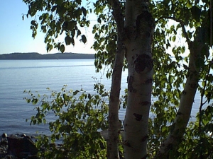 r204.jpg