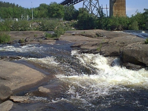 r225.jpg