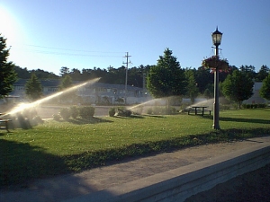 r228.jpg