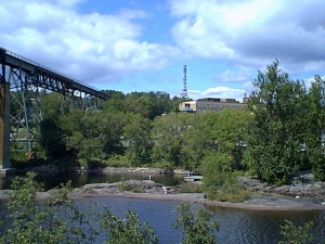 r231.jpg