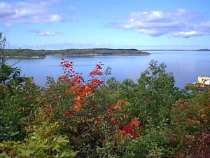 r253.jpg