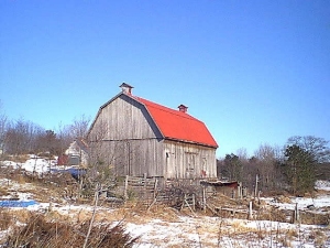 r260.jpg